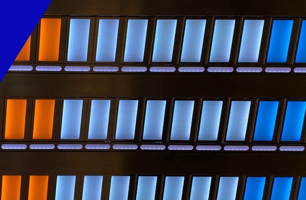 第一步：選擇公司類型與名稱