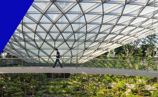 香港和新加坡人才簽證的核心特點