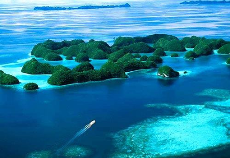 開曼群島公司法規定開曼公司年費是多少