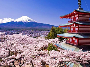 如何注冊日本公司