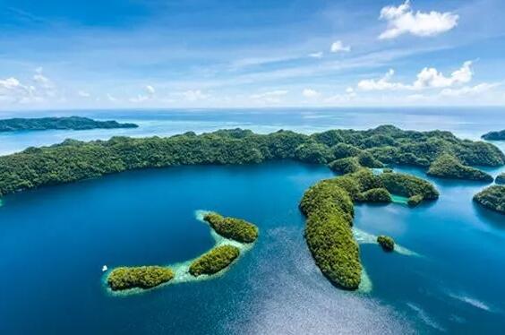 經濟實質法案的背景