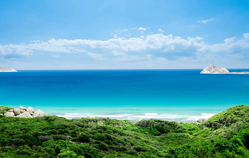 BVI公司與開曼公司的區(qū)別：公司年審