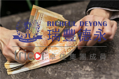 稅務(wù)身份對公司國外收入的影響