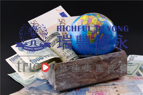 選擇美國公司的類型