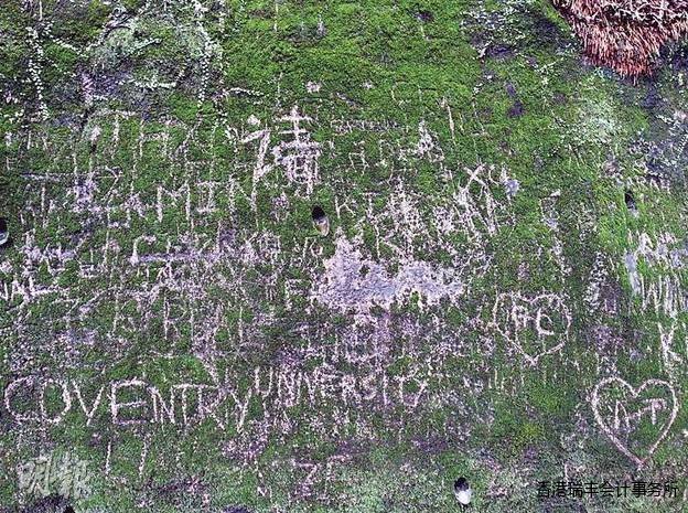 在太平山獅子亭附近的芬梨道晨運徑，斜坡上刻有各式符號及文字，包括多個心形圖案、簡體字“請”字及下方的（英國）Coventry University等字樣。來源 香港《明報》