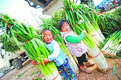 注冊(cè)商標(biāo)